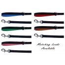 Ace Comfy Matching Leather Lead with PADDED Leather Handle ~ length 44" (10 Colors)